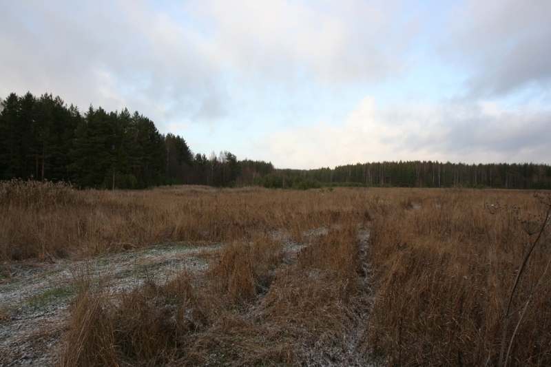 img_3770 img_3770