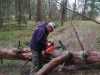 IMG-20210509-WA0010