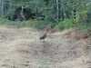 IMG-20210509-WA0014