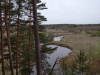 IMG_20210508_090551_1