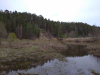 IMG_20210508_091308_1