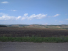 IMG_20210719_160129_1