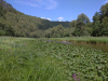IMG_20210721_102011_1