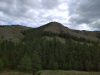IMG_20210726_094806_1