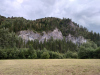 IMG_20210730_131012