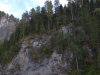 IMG_20210730_150315_1
