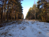 IMG_20201205_115907_1