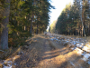 IMG_20201205_120149_1
