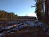 IMG_20201205_120157_1