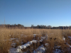 IMG_20201205_130053_1