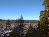 IMG_20201206_114519_1