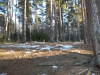 IMG_20201206_114529_1