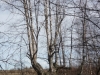 P1020765_70_1