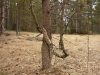 P1020819_98_1