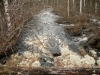 P1020882_131_1
