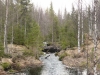 P1030055_215_1