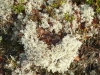 P1030182_286_1