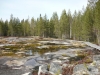 P1030222_307_1