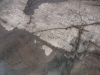 P1030233_316_1