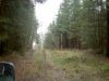 2006_019