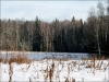 Image00368