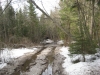 2009_120