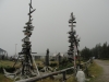 DSC08693