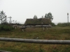 DSC08695