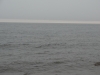 DSC08702
