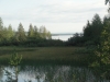 DSC08754