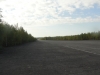 DSC08759