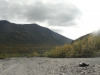 DSC08763