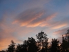 DSC08790