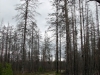 IMG_0465.jpg