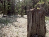 20060808_04.jpg