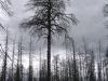 20060808_36.jpg