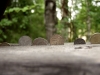 20060808_49.jpg