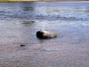 20060809_05.jpg