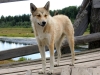 20060809_18.jpg