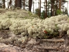 20060809_29.jpg