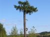 20060810_09.jpg
