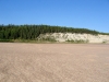 20060810_12.jpg