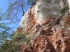 20060811_23.jpg
