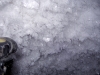 20060811_33.jpg