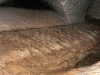 20060811_37.jpg