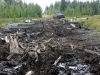 20060813_19.jpg