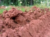 20060813_31.jpg