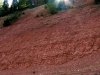 20060814_06.jpg