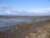 20060815_12.jpg