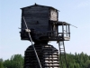 20060815_50.jpg